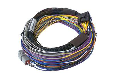 Haltech Elite 750 + Basic Universal Wire-in Harness Kit (HT-150602), view 5, Tuned By Shawn