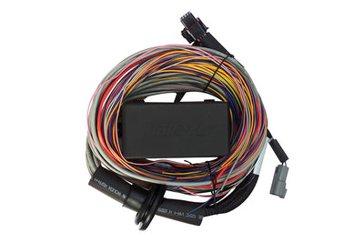 Haltech Elite 750 + Premium Universal Wire-in Harness Kit (HT-150604), view 5, Tuned By Shawn