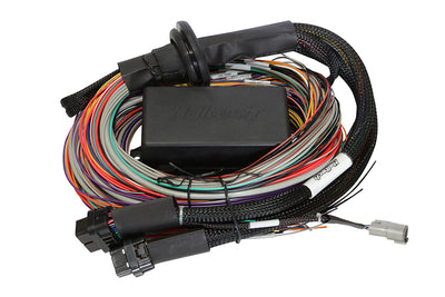 Haltech Elite 1500 + Premium Universal Wire-in Harness Kit (8') (HT-150904), view 5, Tuned By Shawn