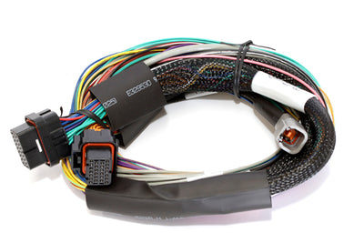 Haltech Elite 2500 + Basic Universal Wire-in Harness Kit (HT-151302), view 2, Tuned By Shawn
