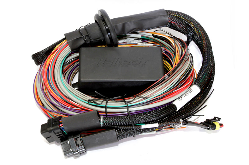Haltech Elite 2500 + Premium Universal Wire-in Harness Kit (8') (HT-151304), view 2, Tuned By Shawn