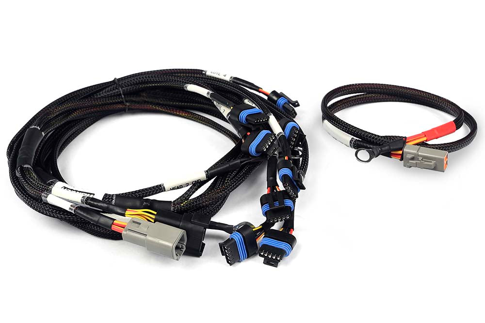 Haltech Nexus V8 IGN-1A Ford Harness (HT-186061)