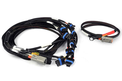 Haltech Nexus V8 IGN-1A Ford Harness (HT-186061)