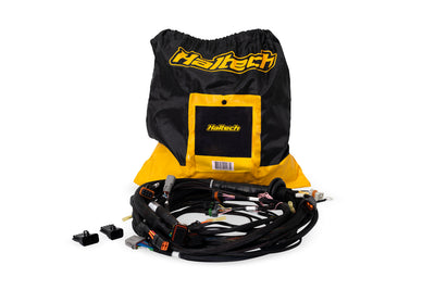 Nexus Rebel LS Main Terminated Harness (HT-186500)