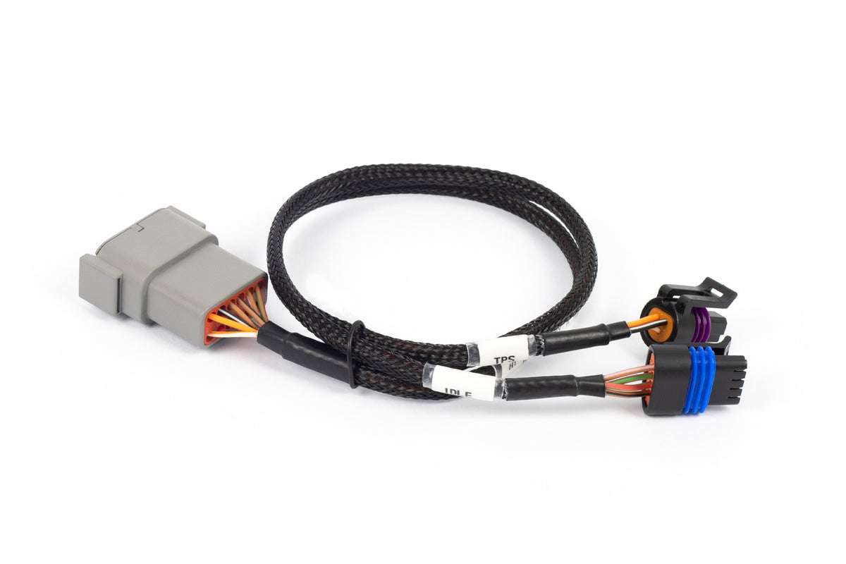 Nexus Rebel LS Cable Throttle + IAC sub-harness (HT-186504)