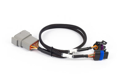 Nexus Rebel LS Cable Throttle + IAC sub-harness (HT-186504)