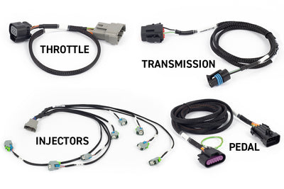 Rebel LS Kit Suits Gen IV 6-pin DBW, EV6 Injectors , Manual Transmission (HT-220204)