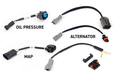 Rebel LS Kit Suits Gen IV 6-pin DBW, EV6 Injectors , Manual Transmission (HT-220204)