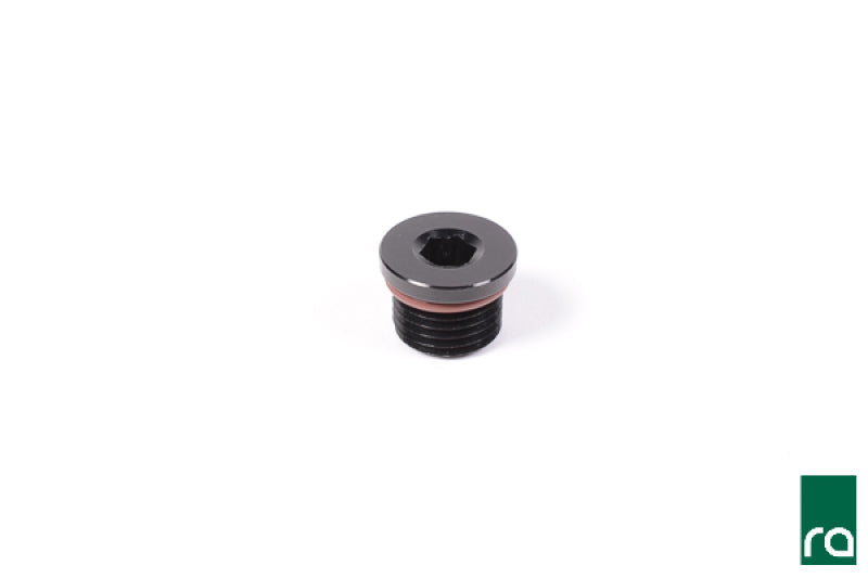 Radium Engineering 2AN ORB plug 14-0427 at Tuned By Shawn