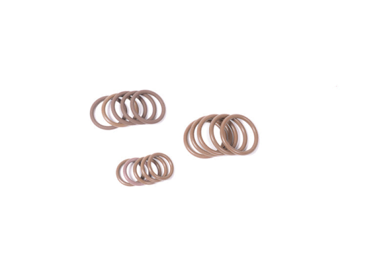 Radium Engineering ORB O-ring multi-pack 18-0043 at Tuned By Shawn