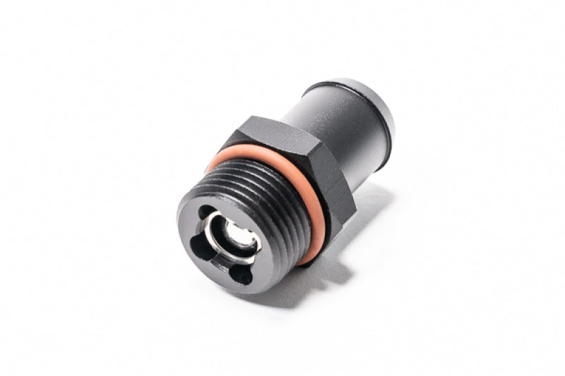 Radium Engineering roll-over valve 20-0594 at Tuned By Shawn