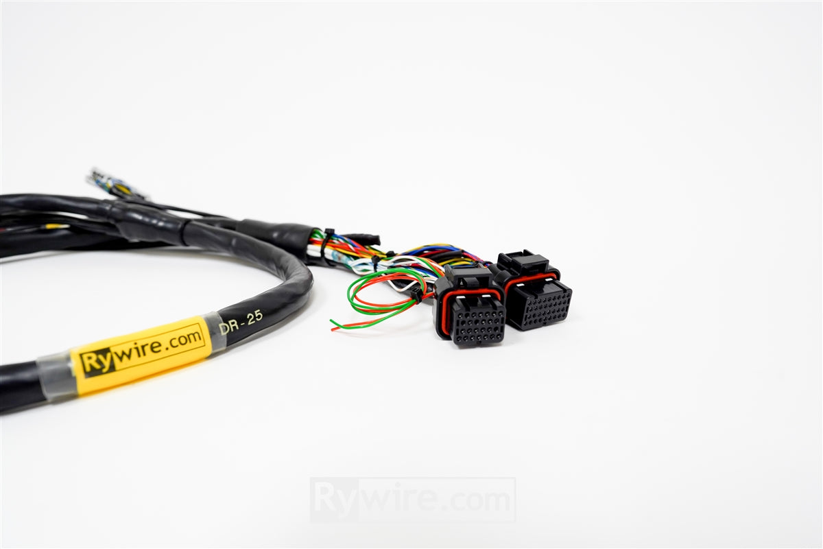 Rywire B-Series standalone engine harness for Haltech Elite, 8 injector, photo 2