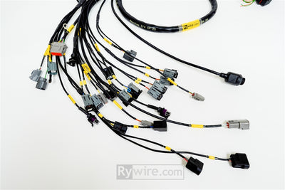 Rywire B-Series standalone engine harness for Haltech Elite, 8 injector, photo 3