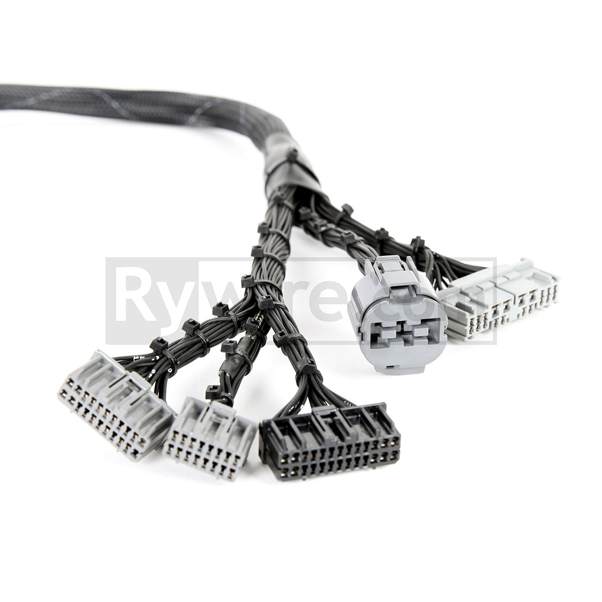 Rywire OBD1 budget tucked D and B-series engine harness in black expandable loom, photo 2