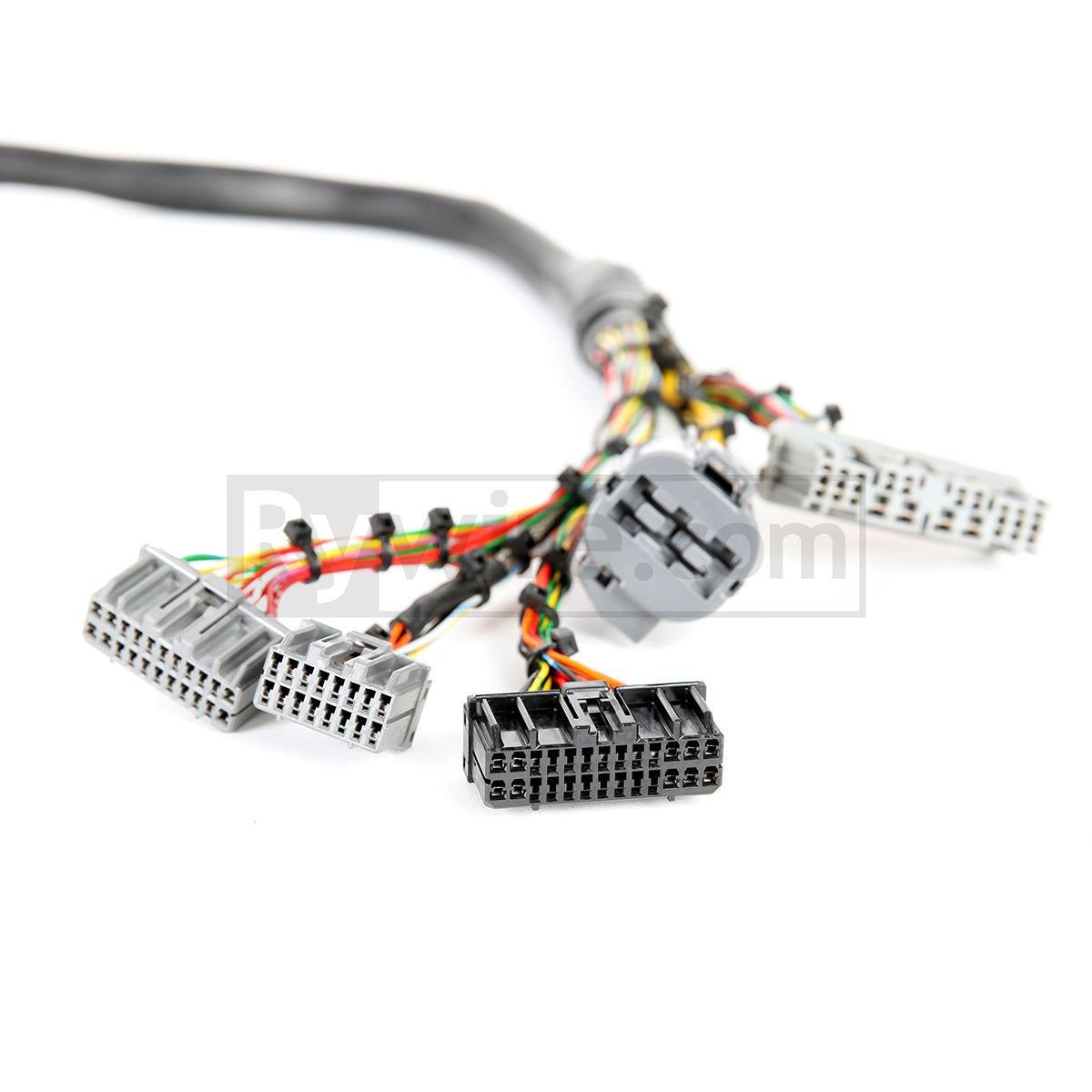 Rywire OBD1 mil-spec tucked D and B-series engine harness with DR-25 heat shrink, photo 3