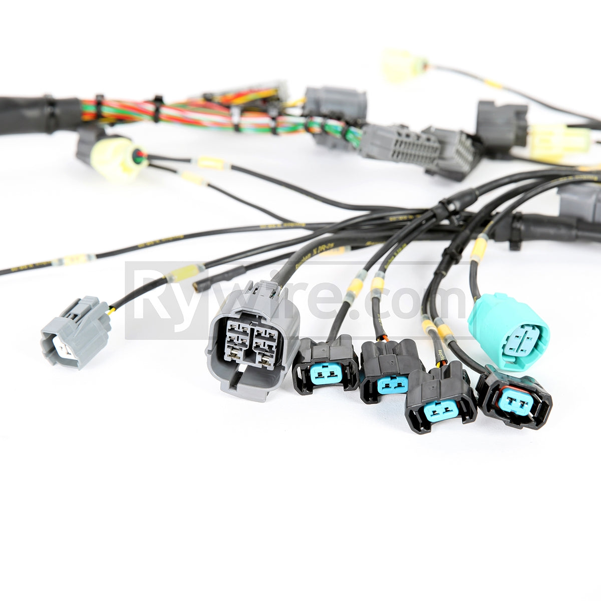 Rywire OBD2 mil-spec tucked D and B-series engine harness with DR-25 heat shrink, photo 2
