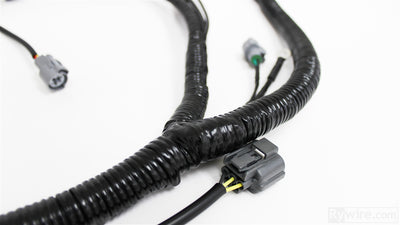 Rywire OEM-style OBD2 B-series engine harness for EG Civic and DC Integra, photo 2