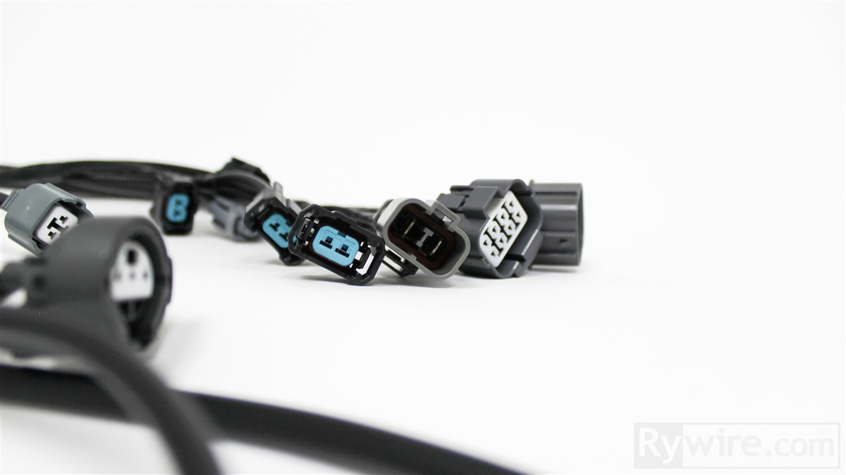 Rywire OEM-style OBD2 B-series engine harness for EG Civic and DC Integra, photo 3