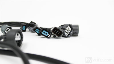 Rywire OEM-style OBD2 B-series engine harness for EG Civic and DC Integra, photo 3