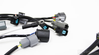 Rywire OEM-style OBD2 B-series engine harness for EG Civic and DC Integra, photo 4