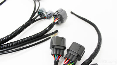 Rywire OEM-style OBD2 B-series engine harness for EG Civic and DC Integra, photo 5