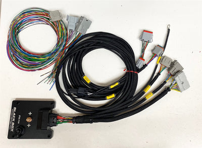 Rywire Honda/Acura chassis harness with 14-channel PDM power distribution module, photo 5