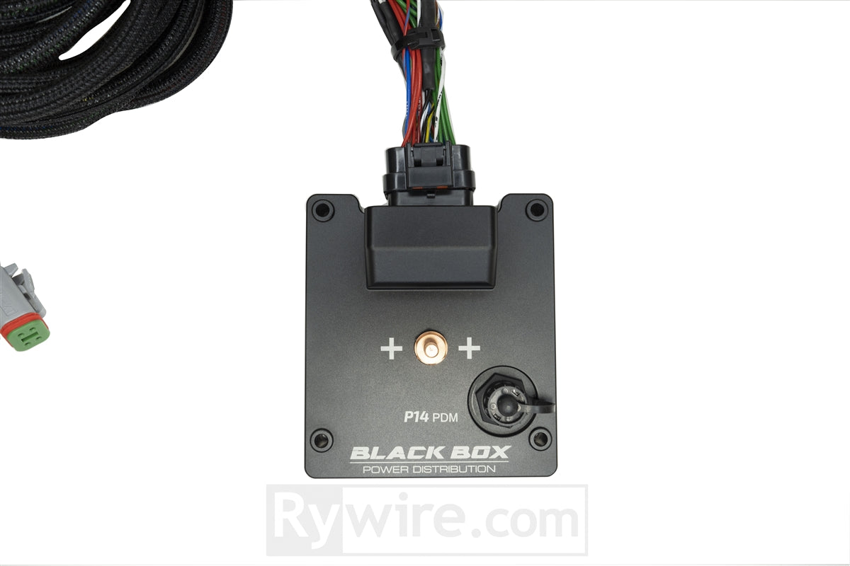 Rywire Honda/Acura chassis harness with 14-channel PDM power distribution module, photo 8