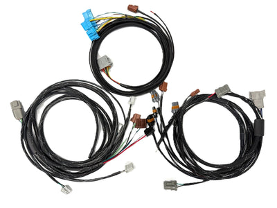 Rywire Honda/Acura chassis harness with 16-channel PDM power distribution module, photo 2
