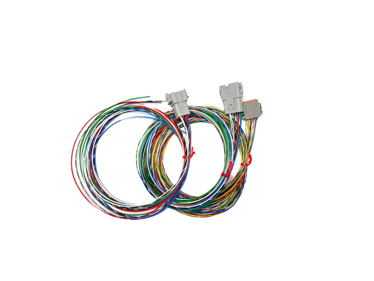 Rywire universal chassis harness with 16-channel PDM power distribution module, photo 2