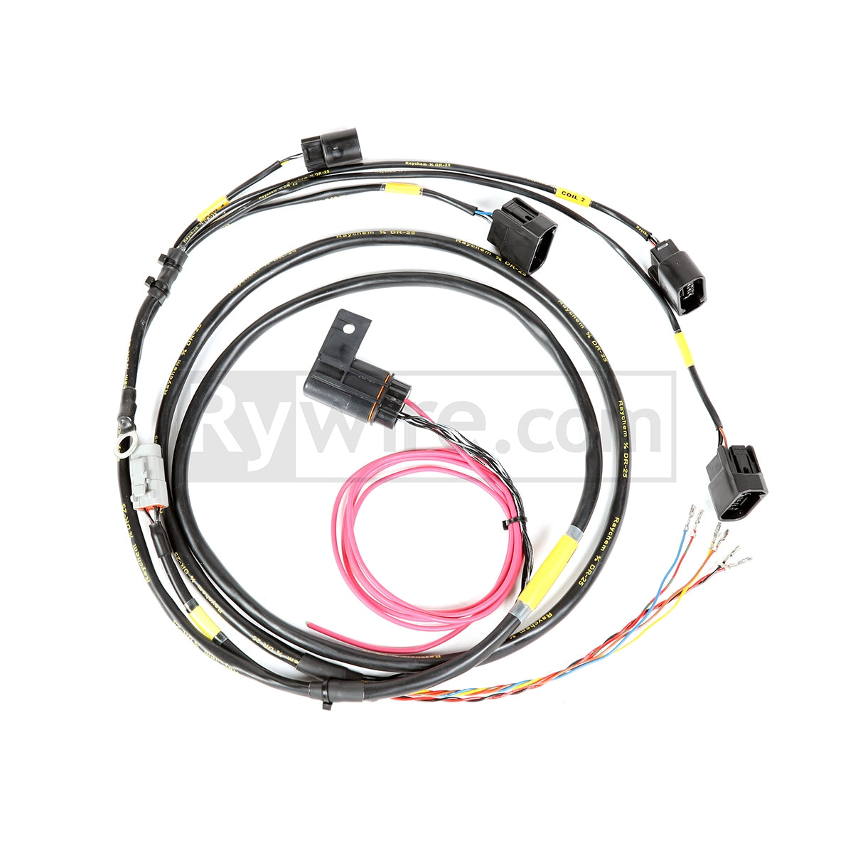 Rywire RSX/S2000 coil-on-plug harness with cam/crank trigger wiring and connectors, sold by Tuned By Shawn