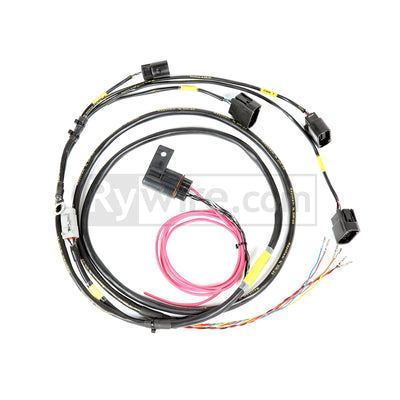 Rywire RSX/S2000 coil-on-plug harness with cam/crank trigger wiring and connectors, sold by Tuned By Shawn