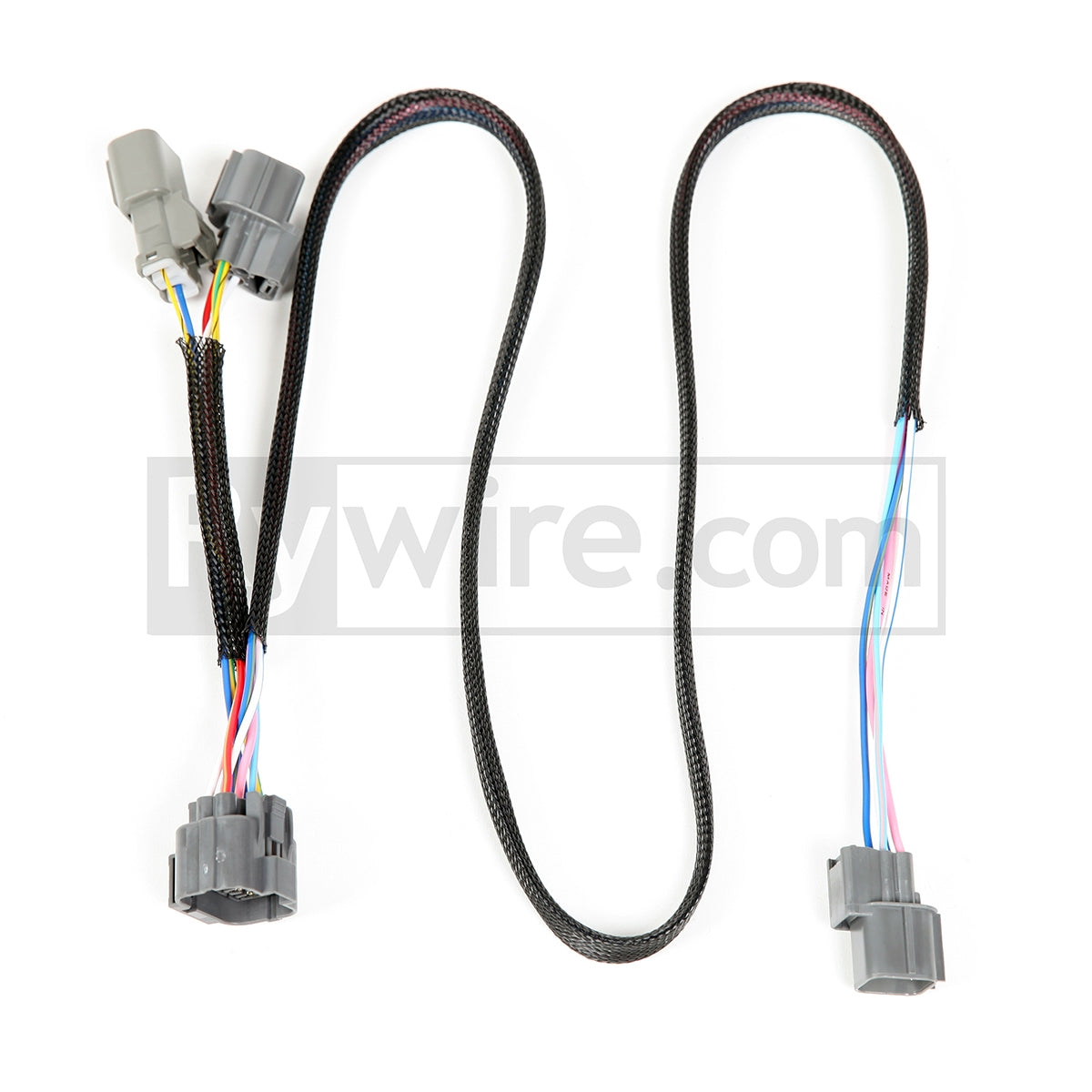 Rywire USDM Prelude to OBD2 8-pin distributor adapter harness, sold by Tuned By Shawn
