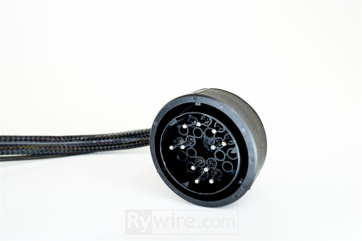 Rywire BMW E30 to Honda K20A swap conversion harness, photo 4