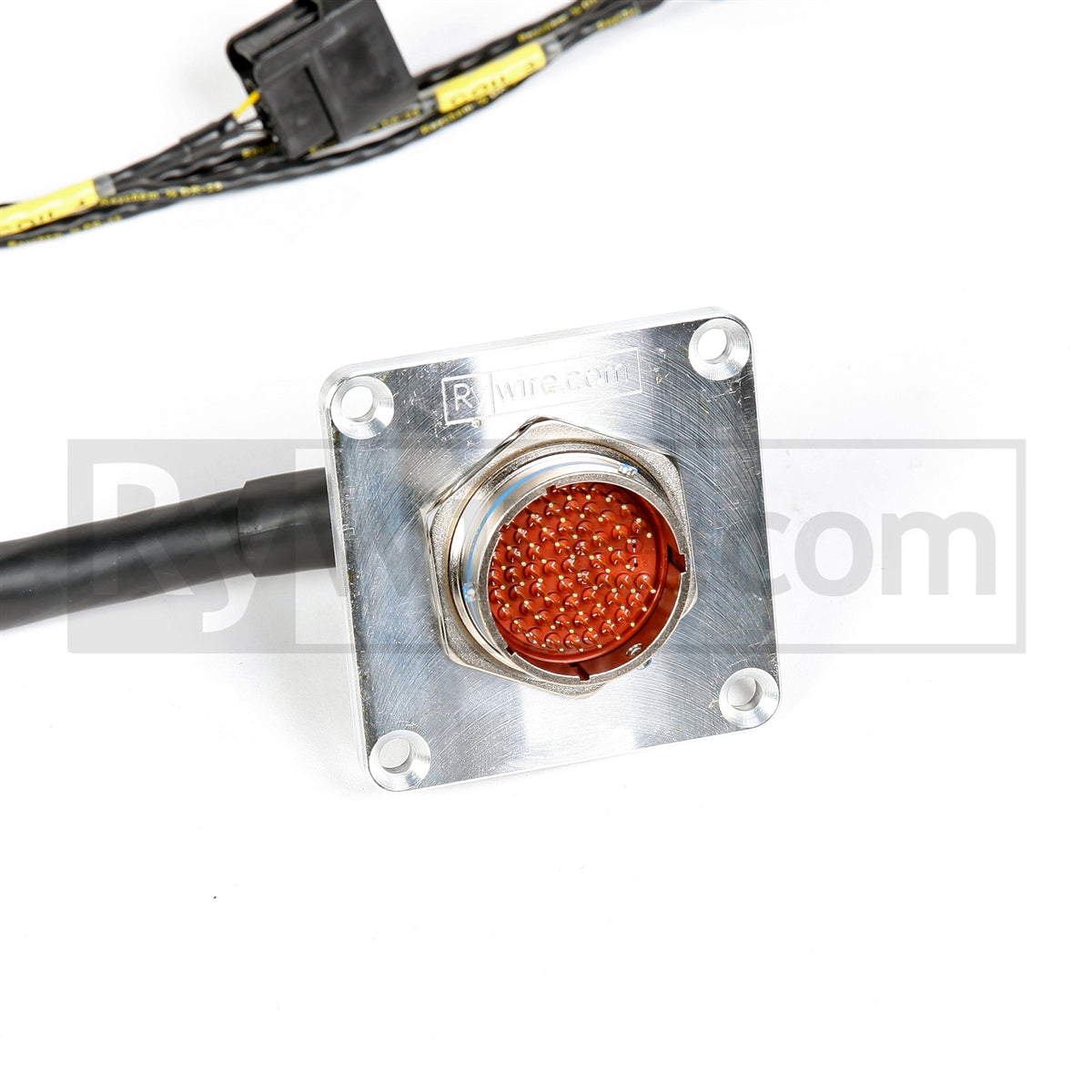 Rywire mil-spec tucked H22 swap engine harness for H-series and F20B, photo 2