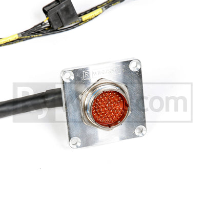 Rywire mil-spec tucked H22 swap engine harness for H-series and F20B, photo 2