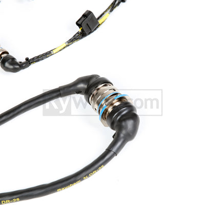 Rywire mil-spec tucked H22 swap engine harness for H-series and F20B, photo 4