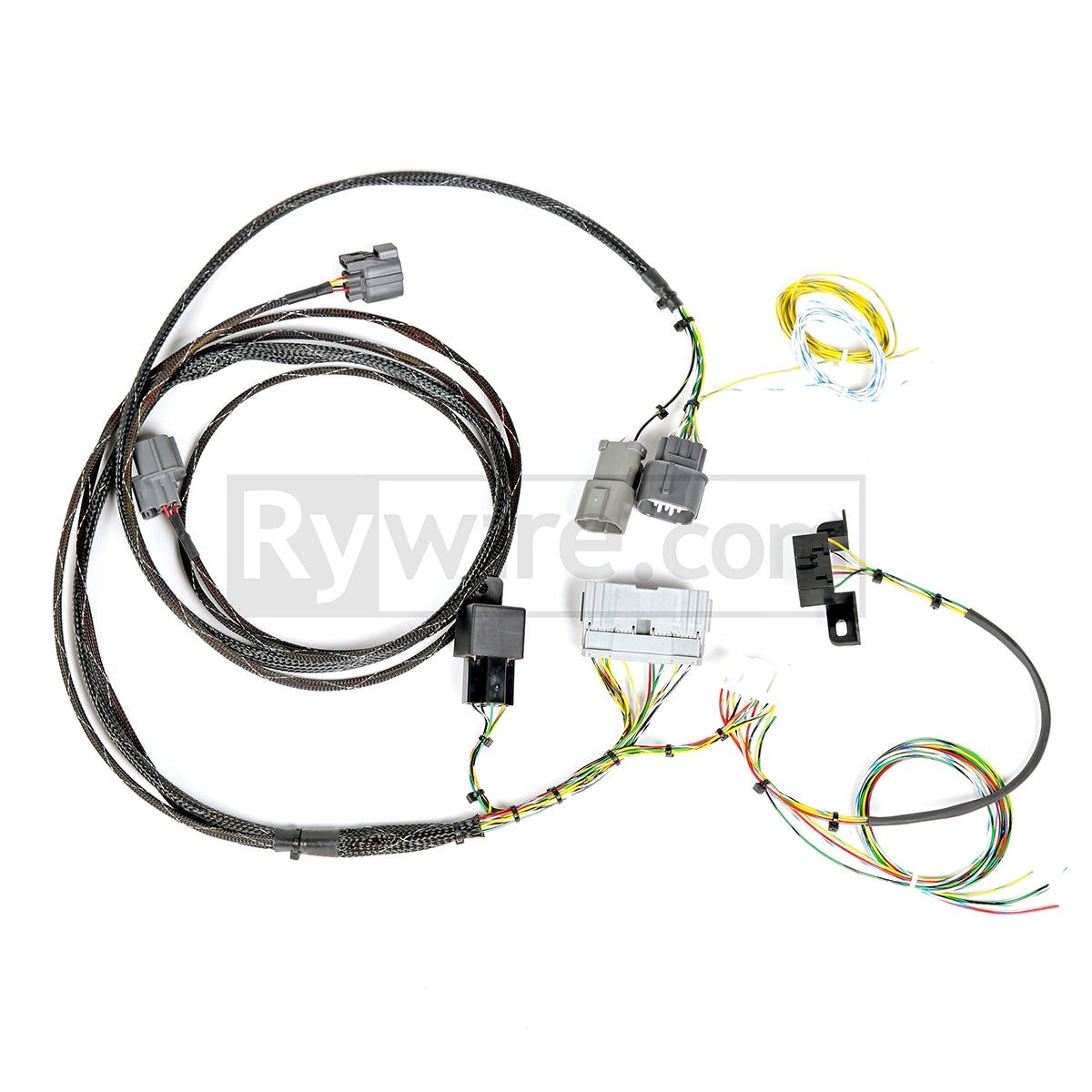 Rywire K-series chassis adapter harness for Honda Civic, CRX and Integra K-swap, sold by Tuned By Shawn