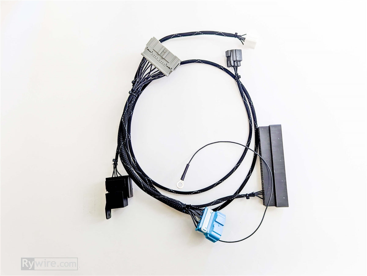 Rywire S2000 K-series swap conversion harness, sold by Tuned By Shawn