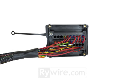 Rywire mil-spec K-series race chassis adapter fuse and relay box, photo 2