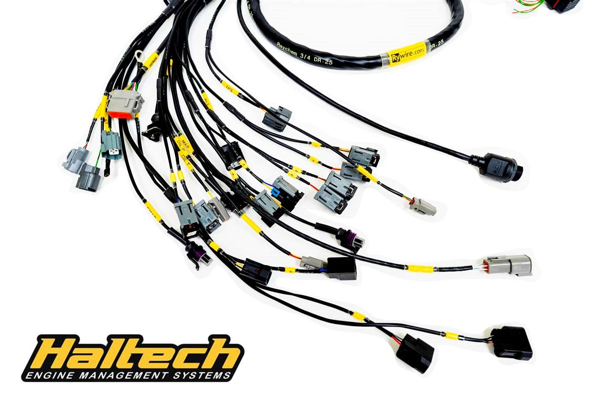 Rywire K-Series standalone engine harness for Haltech Elite, 8 injector, sold by Tuned By Shawn