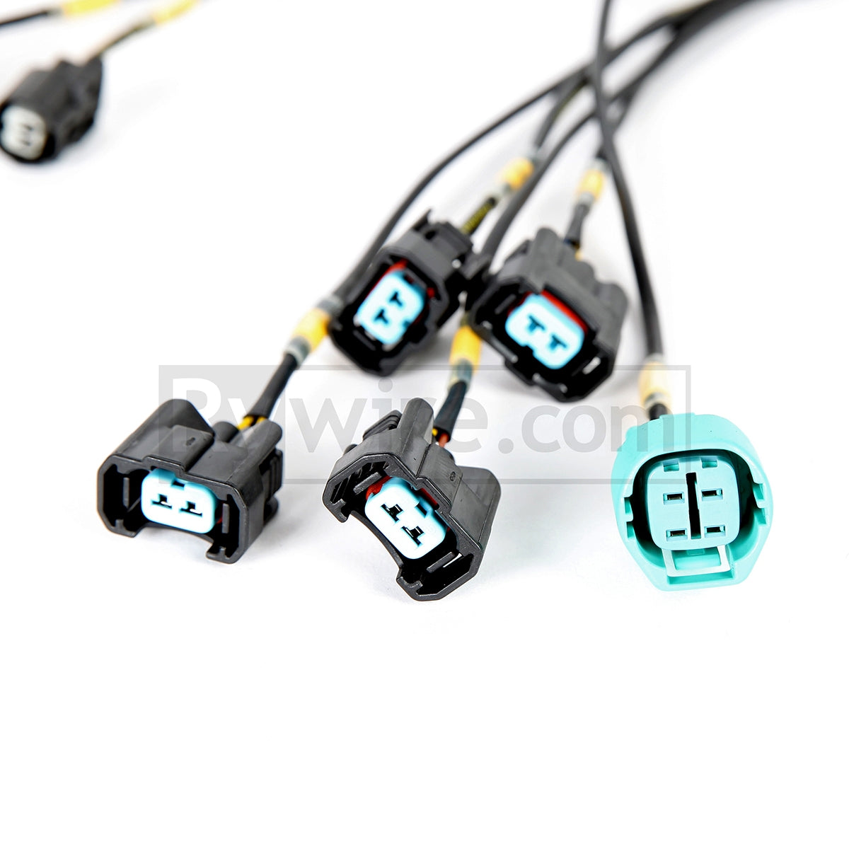 Rywire mil-spec tucked K-series V2 engine harness for K20 swaps, photo 2
