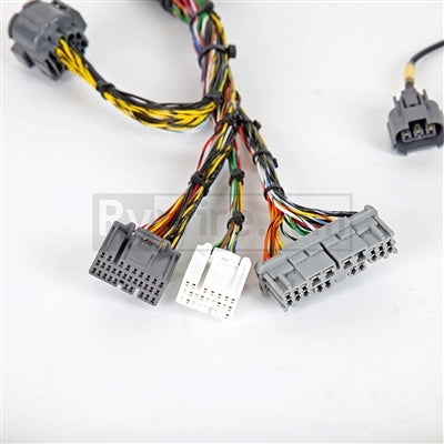 Rywire mil-spec tucked K-series V2 engine harness for K24 swaps, photo 3