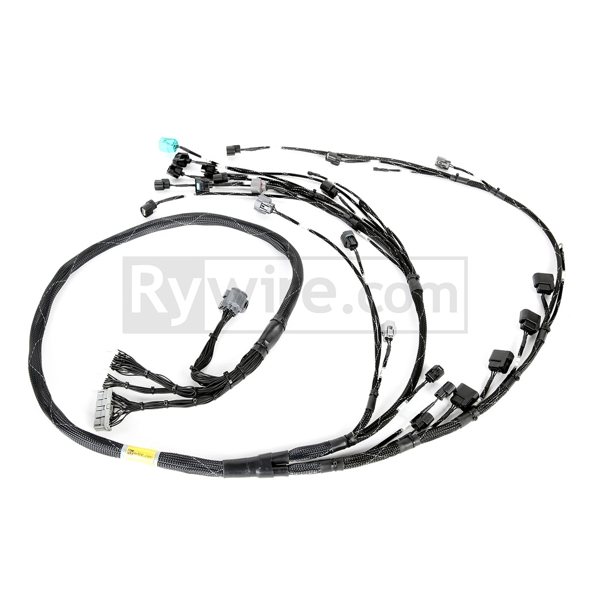 Rywire budget tucked K-series engine harness for K24Z3 swaps, sold by Tuned By Shawn