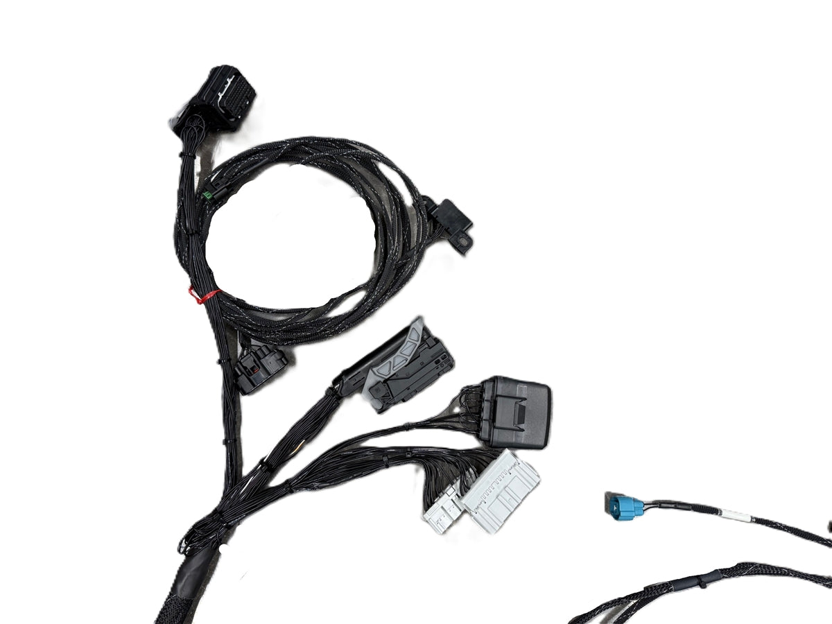 Rywire L15B7 swap engine harness in black Tefzel with white labels, photo 2