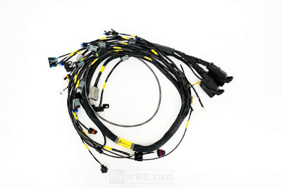 Rywire LS3 swap engine harness for the GM E38 engine computer, sold by Tuned By Shawn