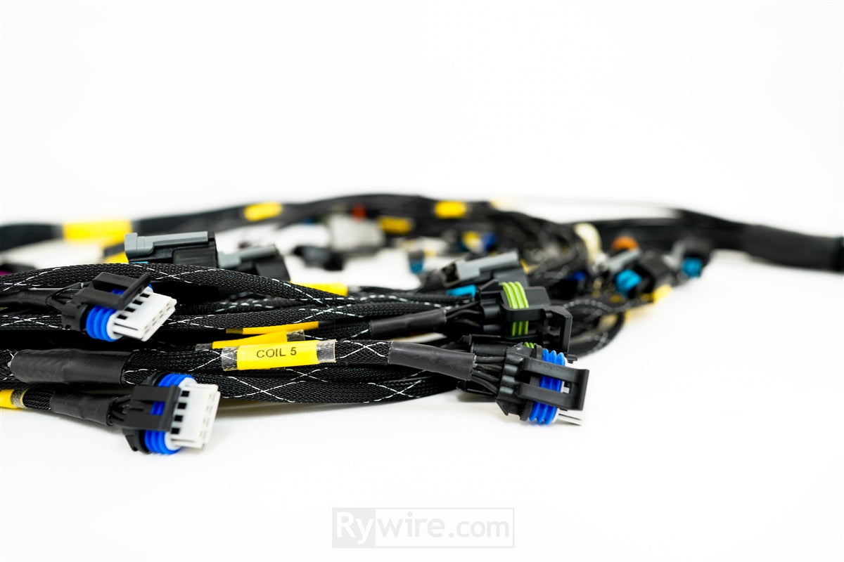 Rywire LS3 swap engine harness for the GM E38 engine computer, photo 2