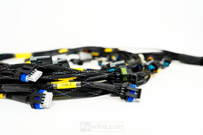 Rywire LS3 swap engine harness for the GM E38 engine computer, photo 2