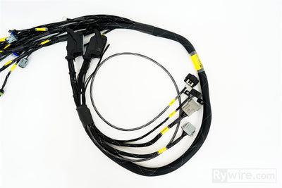 Rywire LS3 swap engine harness for the GM E38 engine computer, photo 3