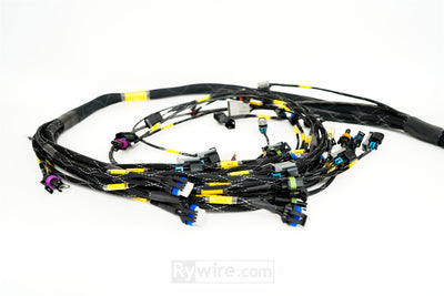 Rywire LS3 swap engine harness for the GM E38 engine computer, photo 4
