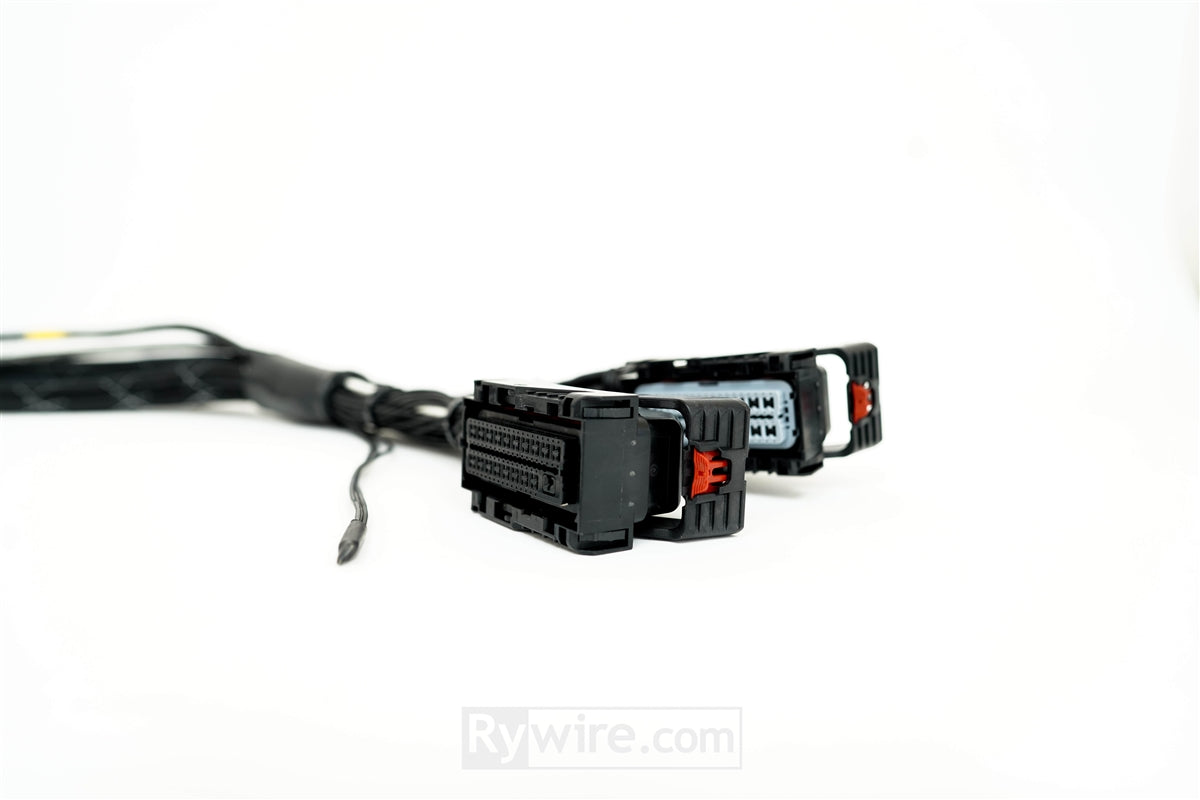 Rywire LS3 swap engine harness for the GM E38 engine computer, photo 5